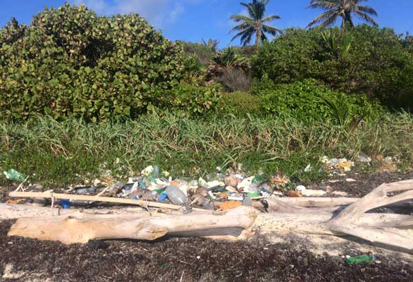 Belize Beach Litter